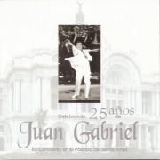 Celebrando 25 Años de Juan Gabriel (En Concierto En El Palacio de Bellas Artes)}