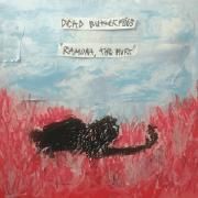 Capa do Álbum "Ramona, The Hurt", de Dead Butterflies