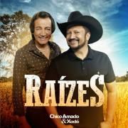 Raízes