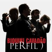 Capa do Álbum "Perfil )", de Biquini Cavadão
