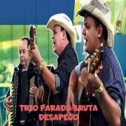 Desapego 