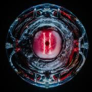 VOYD Vol. 2.5