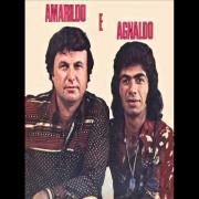 Amarildo e Agnaldo (1978)