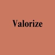 Valorize}