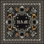 H•A•M (feat. Busta Rhymes)}