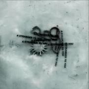 Capa do Álbum "A Stranger To You", de Loathe