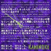 KAMINOKE