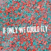 If Only We Could Fly}