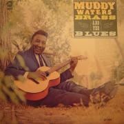 Muddy, Brass & The Blues