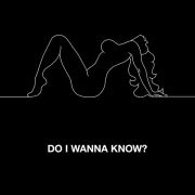 Do I Wanna Know?}