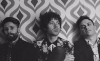 The Technicolors