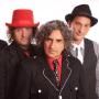 Los Tipitos