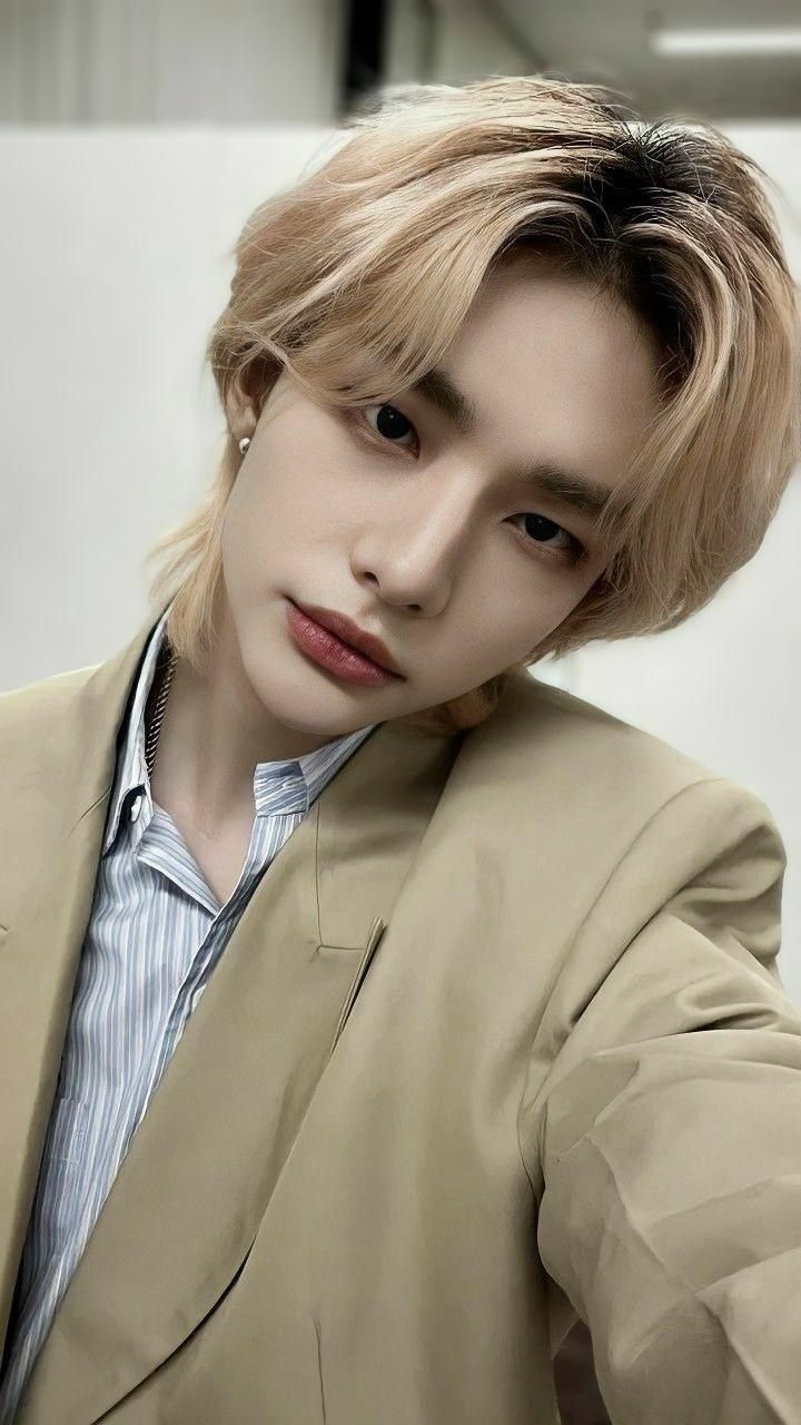 Hyunjin (Stray Kids)