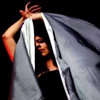 Todo Coco Vira Kenga