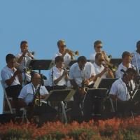 Orquestra Brasileira de Espetaculos