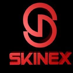 Foto de SkiNex