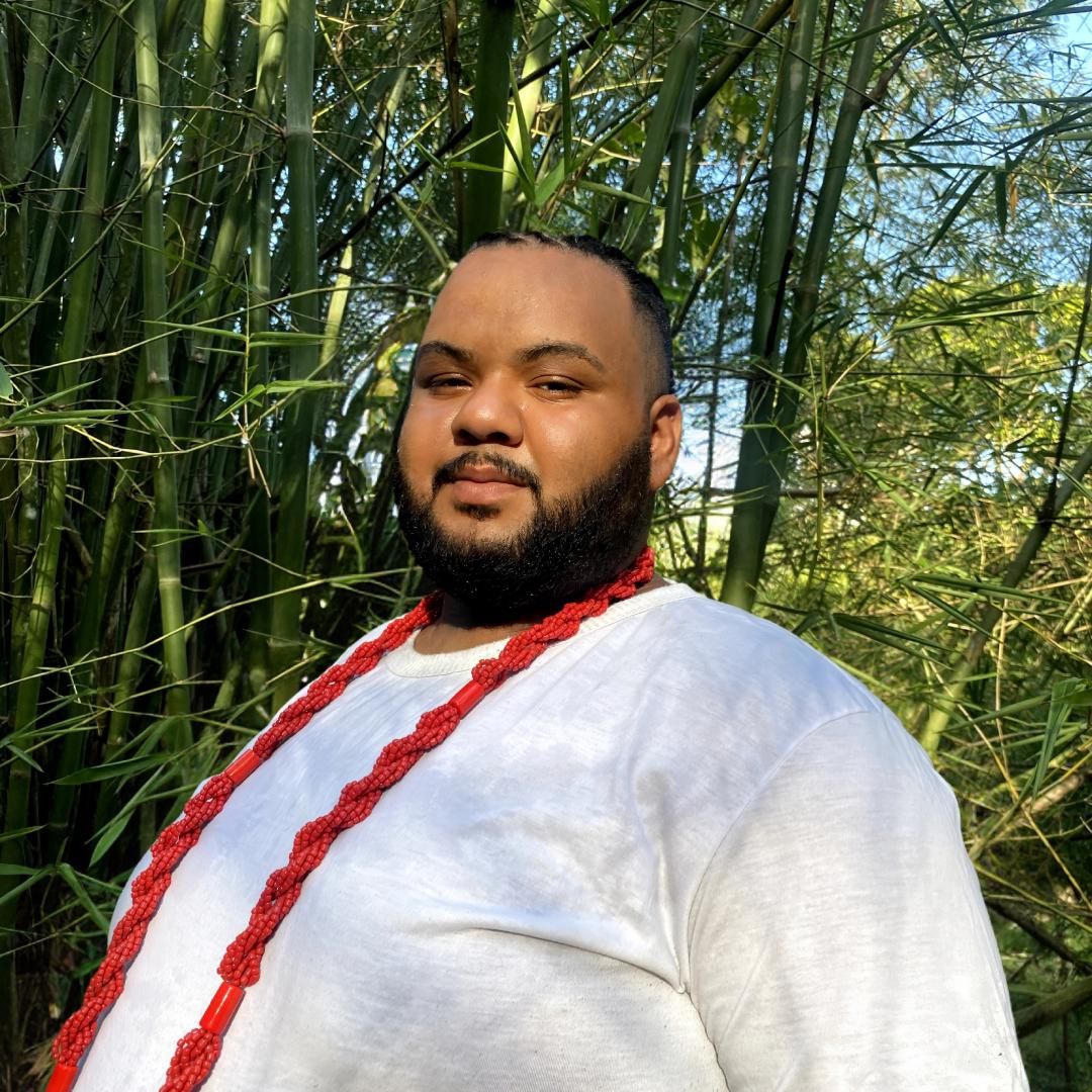 Panda Na Voz