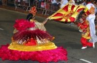 Samba-Enredo 2013 - Livros de História Infantil. Páginas Recheadas de Fantasias, Sonhos e Imaginações. Uma Viagem Na Intendente Magalhães