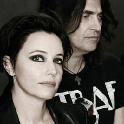 Photo of Animals Baby