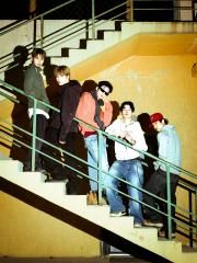 WAYF BOYS