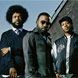 The Roots