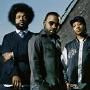 The Roots