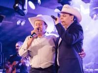 Vazei Na Braquiária