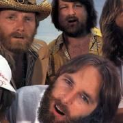 The Beach Boys
