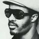 Stevie Wonder