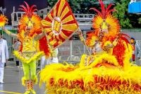 Samba-Enredo 2015 - Adrenalina