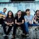 Bonanza Band