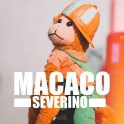 Foto de Macaco Severino