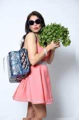 Eu Esfrangalho o Bicho