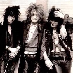 Photo of Dogs D'amour