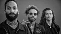 FEVER 333