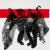 THE ORAL CIGARETTES