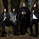 The Magic Numbers