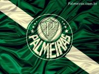 Palmeiras, o Meu Viver