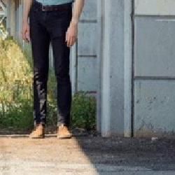 Foto de Tigers On Trains