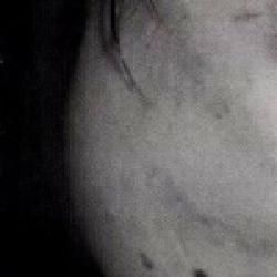 Foto de The Libertines