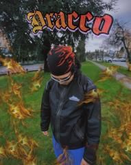 Dracco MX