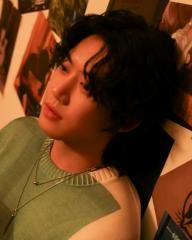 PEACE (비둘기)