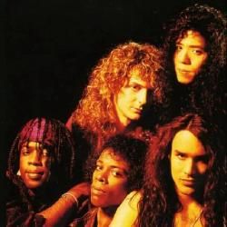 Foto de Dan Reed Network