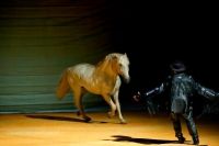 Lully, Doce Lully