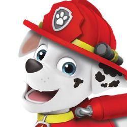 Photo of Patrulha Canina