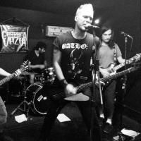 Punk do Mato