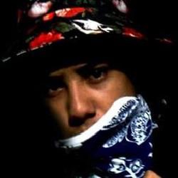 Foto de WendellSiilva