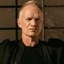 Sting