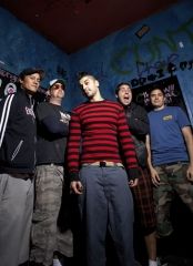 Zebrahead