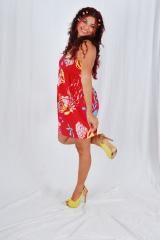 Cante Conosco